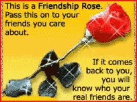 a picture of a red rose with a quote on it
