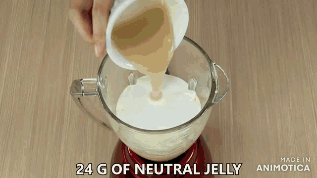 a blender with 24 g of neutral jelly in it