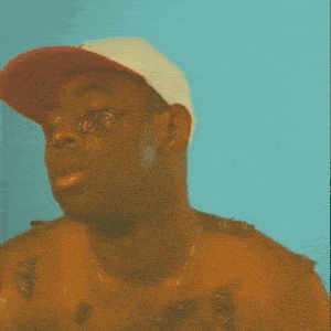 a shirtless man wearing a hat with butterflies on his face