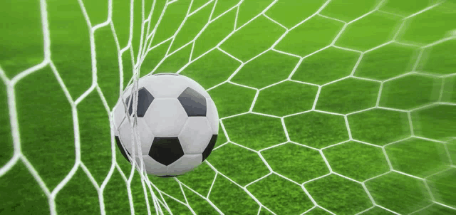 a black and white soccer ball is in the goal net