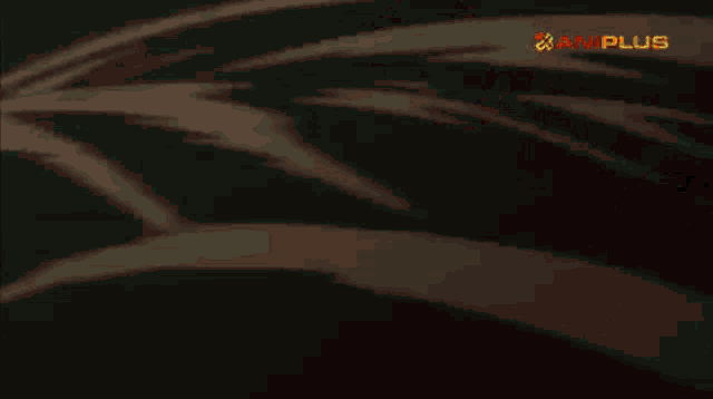 a green background with the word aniplus in the corner