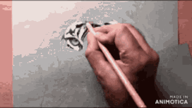 a person is drawing a tiger with a pencil on a piece of paper made in animatica