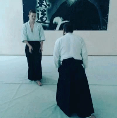 Aikido GIF - Aikido GIFs