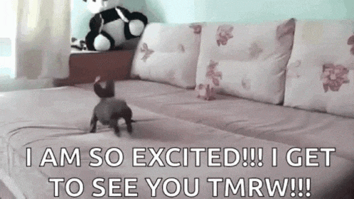 a dog is crawling on a couch and says i am so excited