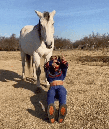 a woman is sitting on the ground in front of a white horse .