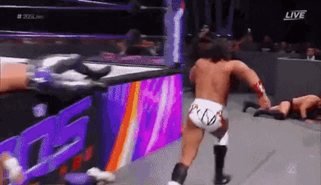 a wrestling match is being broadcast live on a tv channel .