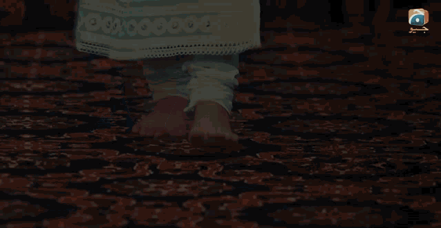 a woman 's bare feet are shown on a carpet with a sdn logo in the corner