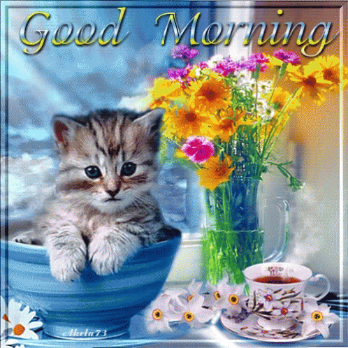 Good Morning Kitten GIF - Good Morning Kitten Tea GIFs