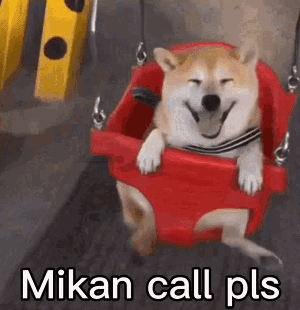 Mikan Call Pls GIF - Mikan Call Pls GIFs
