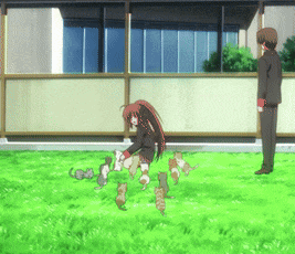 a girl playing with a bunch of kittens while a man looks on