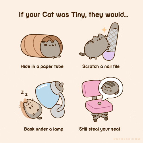 a cartoon of a cat that says " if your cat was tiny they would ... "