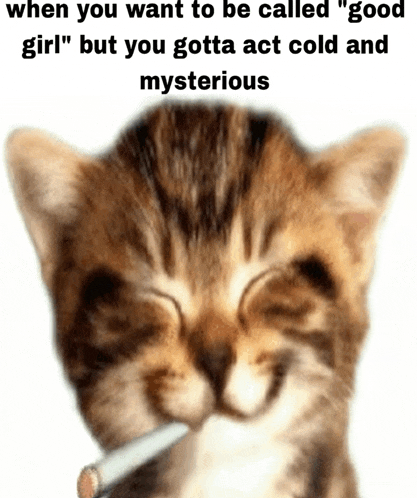 a kitten is smoking a cigarette with the caption " when you want to be called " good girl "