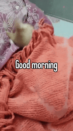 a picture of a cat laying on a bed with the words good morning above it