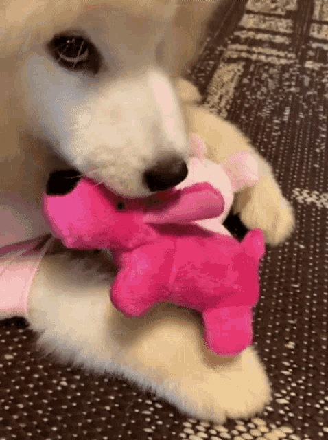 a puppy is playing with a pink stuffed animal .
