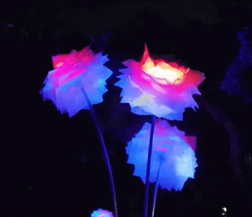 Flowerpower Nocheblanca GIF - Flowerpower Nocheblanca Lunadeoctubre GIFs