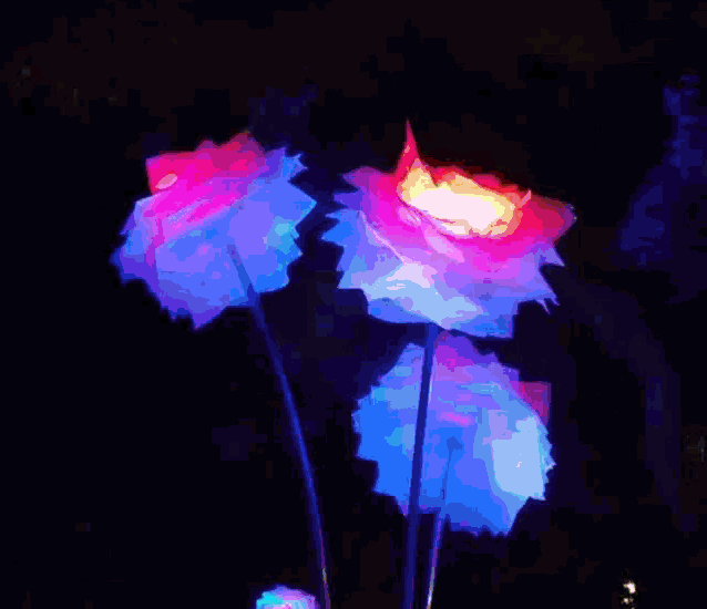 a bunch of flowers that are lit up in the dark