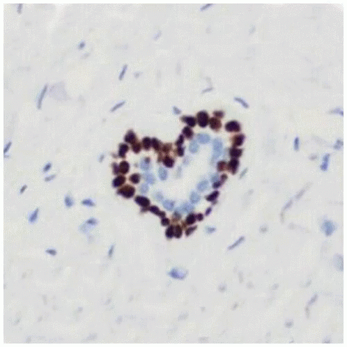 Histology Love GIF - Histology Love Hearts GIFs
