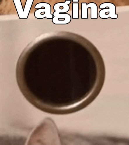 a picture of a hole in a wall with the word vagina written on it