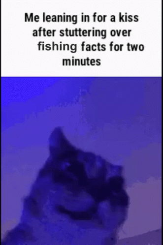 Fishing Facts GIF - Fishing Facts Cat GIFs