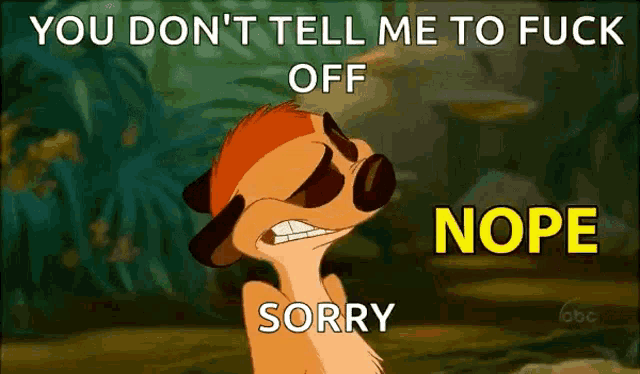 a meerkat from the lion king says you don t tell me to fuck off nope sorry