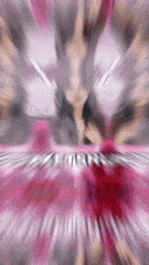 a blurry picture of a woman in a pink dress with the word returns written in white