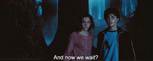 Now GIF - Now Wait Harrypotter GIFs