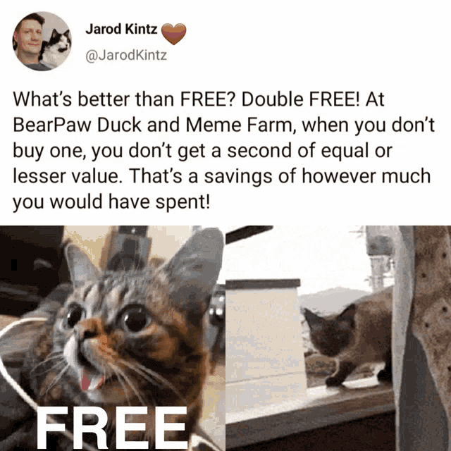 Free Cat GIF - Free Cat Cats GIFs