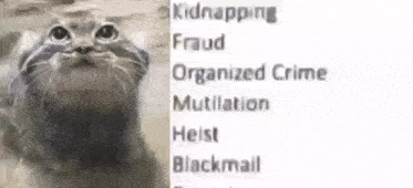 a cat is standing in front of a sign that says kidnapping fraud organized crime mutilation heist blackmail .