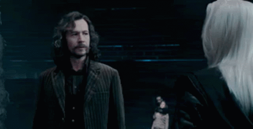 Hp Harry Potter GIF - Hp Harry Potter Serius GIFs