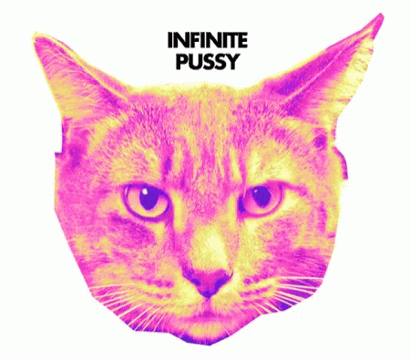 Infinite Pussy GIF - Infinite Pussy GIFs