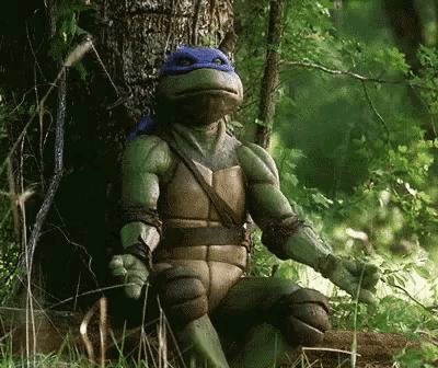 a teenage mutant ninja turtle is sitting in the woods