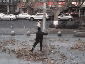 a man is standing on a pile of leaves in front of a street