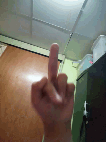 Middle Finger Bad Finger GIF - Middle Finger Bad Finger Flip Off GIFs