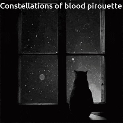 a black cat looking out a window with the words constellations of blood pirouette below it