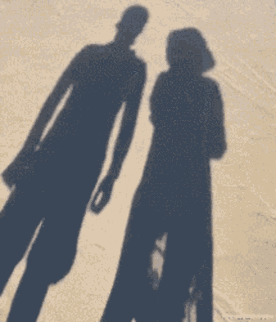 Shadow Couple GIF - Shadow Couple Silly GIFs