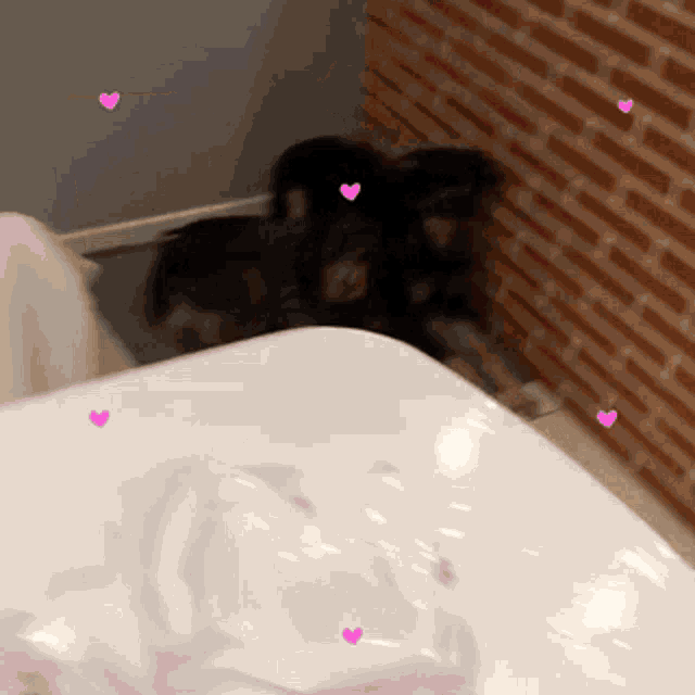 a brick wall with hearts on it and a dog