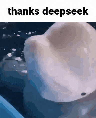 a dolphin is swimming in the water with the words thanks deepseek below it