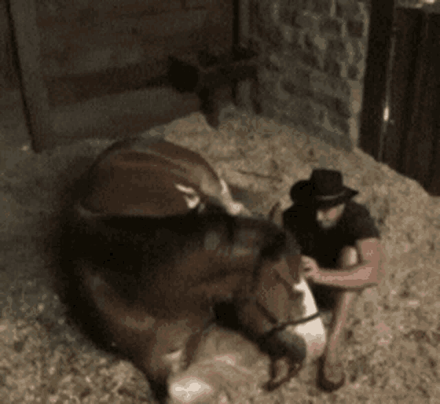a man in a hat sits next to a horse