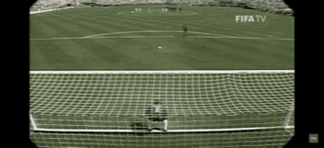 a soccer field is shown on fifa tv