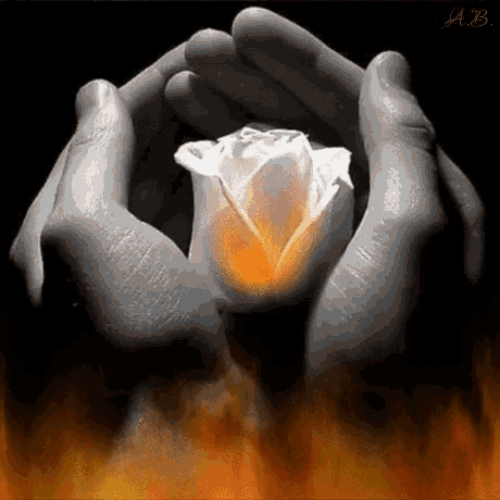 a black and white photo of a person holding a white rose in their hands