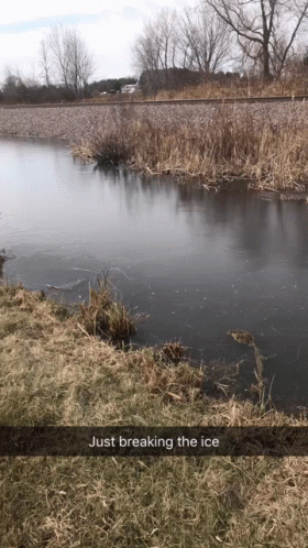 Ice Breaking The Ice GIF - Ice Breaking The Ice Break The Ice GIFs