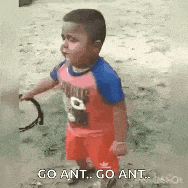 a little boy is holding a tambourine and saying `` go ant , go ant . ''