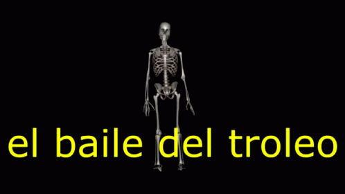 El Baile Del Troleo Shitposting GIF - El Baile Del Troleo Shitposting Esqueleto GIFs