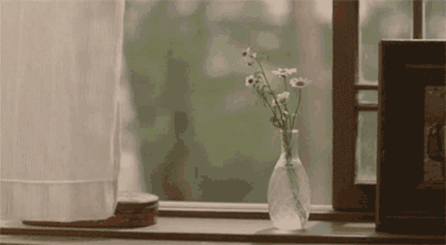 a vase of flowers sits on a window sill in front of a window
