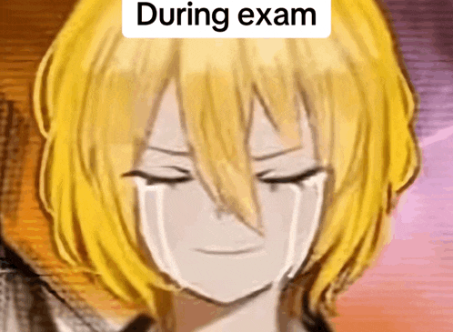a drawing of a person crying with the words " during exam " written above them