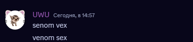 a screenshot of a chat with a cat and the words uwu senom vex and venom sex