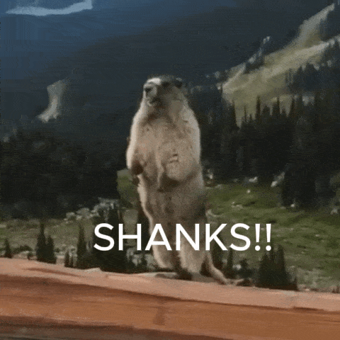 a groundhog is standing on its hind legs on top of a wooden ledge .
