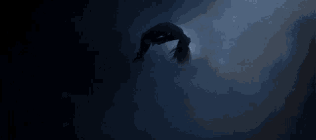 a silhouette of a woman in the dark with her back to the camera