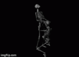 Skeleton Bj GIF - Skeleton Bj GIFs