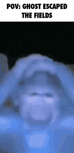 a blurry picture of a person 's face with the words `` pov : ghost escaped the fields '' above it .